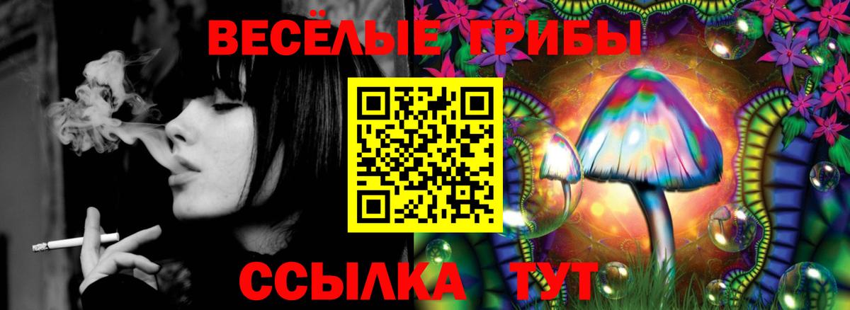 Галлюциногенные грибы мухоморы  Вход с VPN  Каменск-Шахтинский 