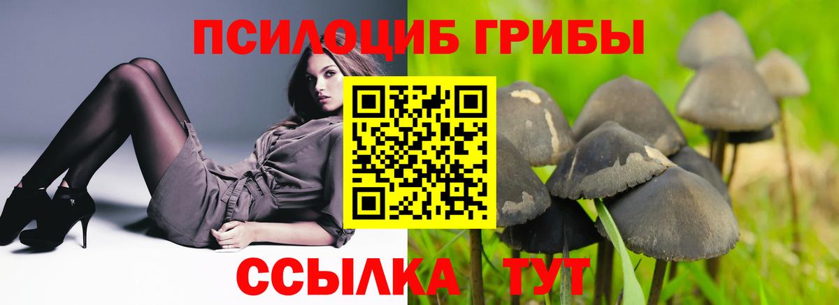 Галлюциногенные грибы Cubensis Каменск-Шахтинский